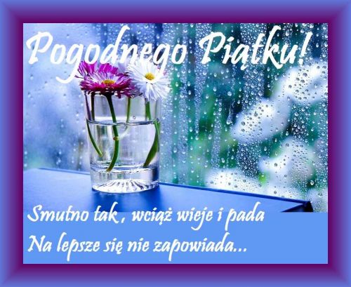 Obrazek dodany przez użytkowniczkę
