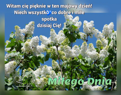 Obrazek dodany przez użytkowniczkę