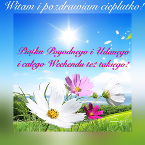 Obrazek dodany przez użytkowniczkę