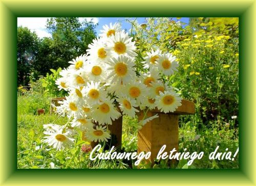 Bukiety bia�ych margaretek na tle s�onecznego ogrodu z napisem Cudownego letniego dnia