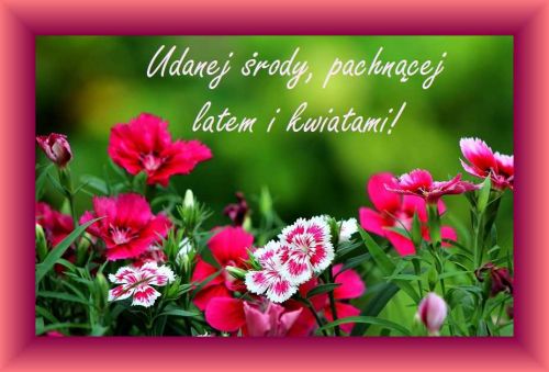 R�owa ramka i napis Udanej �rody, pachn�cej latem i kwiatami! nad r�owymi go�dzikami