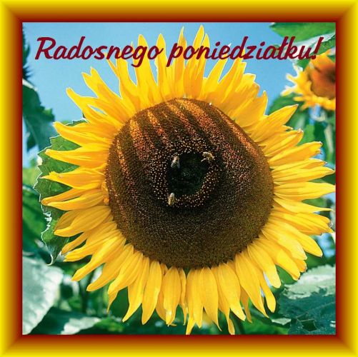 Du�y, ��ty s�onecznik z pszczo�ami na tle nieba oraz napis Radosnego poniedzia�ku w ozdobnej ramce