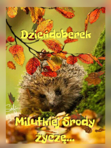 Kartka 🍂Milutkiej �rody �ycz�...