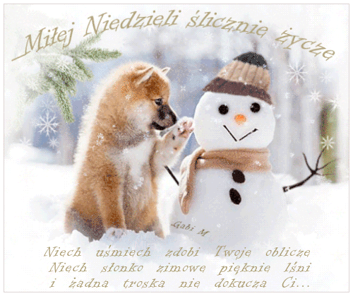 Obrazek dodany przez użytkowniczkę