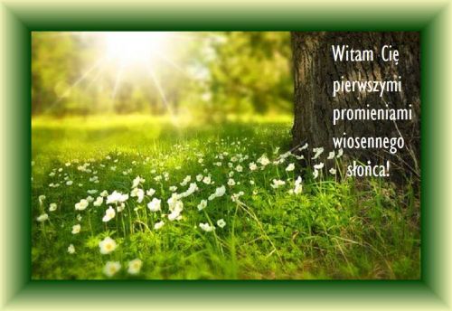 Wiosenna polana pe�na bia�ych kwiat�w, pie� drzewa, promieniste s�o�ce i napisy powitalne