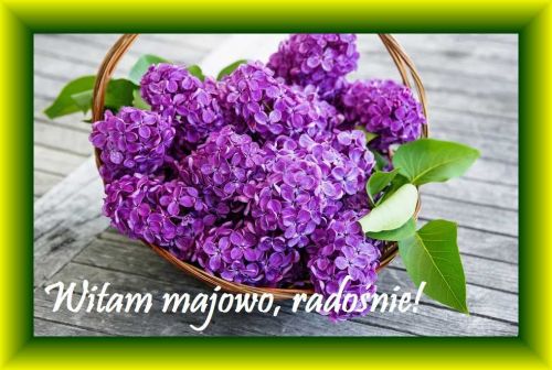 Wiklinowy kosz pełen fioletowego bzu stojący na drewnianym stole z napisem Witam majowo radośnie