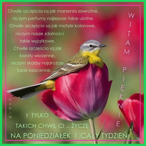 Kartka Chwil Szcz�cia na Poniedzia�ek i Ca�y Tydzie� ...