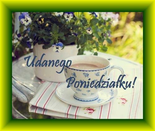 Filiżanka z kawą na stoliku, doniczka z niebieskimi kwiatami i napis Udanego Poniedziałku
