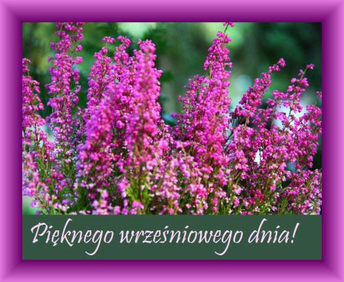 Kartka �ycz� pi�knego, wrze�niowego dnia!