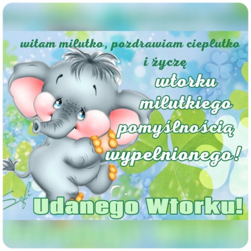 Mały szary słoń z różowymi uszami na tle zielonych koniczyn i z napisem Udanego Wtorku