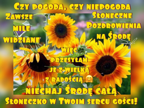 Żółte słoneczniki z pozdrowieniami na środę i radosnym tekstem w żółtym kolorze