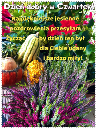 Jesienne pozdrowienia na czwartek z dyniami, wrzosami i napisami życzącymi udanego dnia