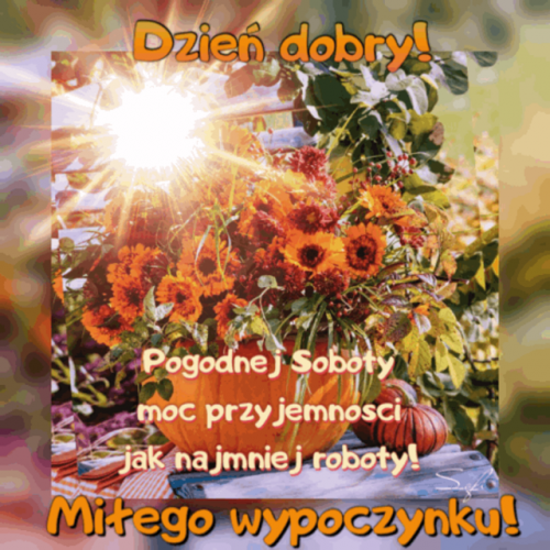 Bukiet pomarańczowych kwiatów w dyni, jesienne liście, promieniejące słońce i napisy o sobotnim wypoczynku
