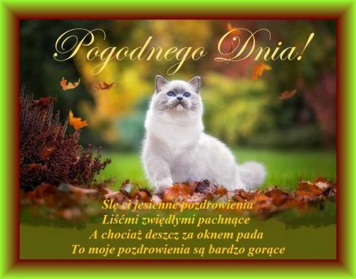 Kartka �ycz� Ci cieplutkiego i pogodnego dnia!