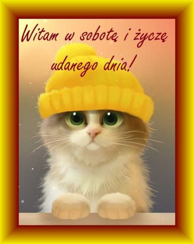 Uroczy kotek w ��tej czapce z napisem Witam w sobot� i �ycz� udanego dnia