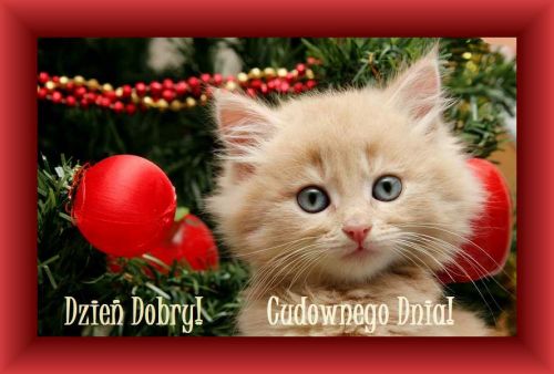 Kartka Dzie� dobry! �ycz� Ci cudownego dnia!