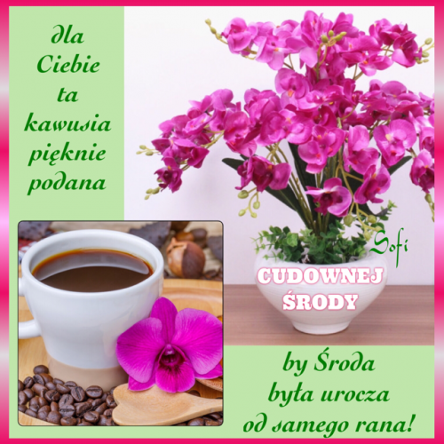 Bia�a fili�anka kawy z ziarnami, r�owa orchidea w doniczce oraz zielone napisy z pozdrowieniami