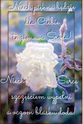 Szroniona bia�a r�a na tle rozmytego pejza�u z napisem Niech pi�kna b�dzie ta zimowa �roda