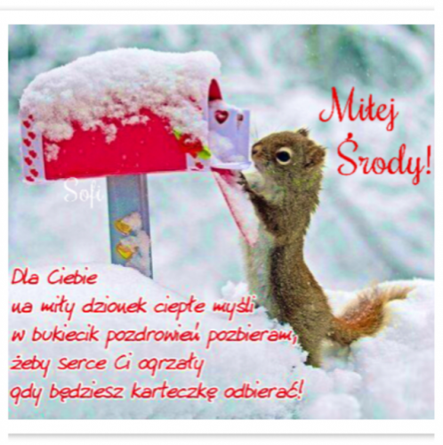 Wiewi�rka w �niegu zagl�da do o�nie�onej skrzynki na listy z napisem Mi�ej �rody