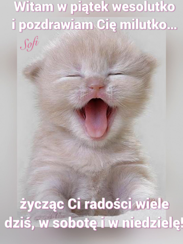 Mały, puszysty beżowy kotek z szeroko otwartą pyszczkiem ziewa i napisy z pozdrowieniami