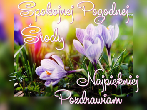 Obrazek dodany przez użytkowniczkę