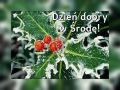 Pi�knej, udanej �rody!