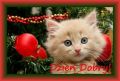 Za nied�ugo �wi�ta, kto� o Tobie pami�ta...