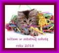 Witam w ostatnią sobotę roku 2018