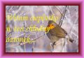 Witam cieplutko w ten mro�ny dzionek!