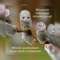 ☀Wiosennie radosnego dzionka!