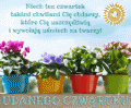 ☀Udanego Czwartku!