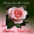 🌹Witam Ci� pi�knie w Niedziel�