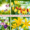 ☀Wiosenne dzie� dobry!