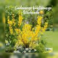 ☀Cudownego kwietniowego Weekendu!