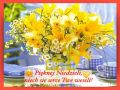 🌼Pięknej i radosnej Niedzieli!