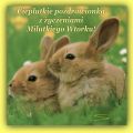 🤗 Milutkiego Wtorku!