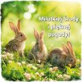 🐰Milutkiej środy!