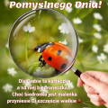 🐞Karteczka na szczęśliwy dzień
