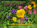 🌼Dzie� dobry w czwartek🌸