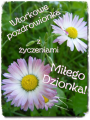 🌸Mi�ego Wtorku🌸