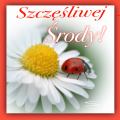 🐞Szcz�liwej �rody🐞