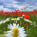 ☀Karteczka na czerwcowy dzie�