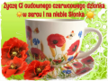 ☀Cudownego czerwcowego dzionka☀