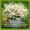 ☘Poniedzia�ku udanego i ...