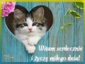 💚Witam Serdecznie...