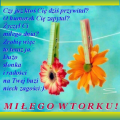 🌸Mi�ego Wtorku🌼