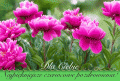 💗Na pi�kny czerwcowy dzie�!