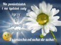 🤗Uśmiechniętego pogodnego tygodnia całego!