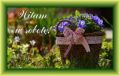 Witam w sobot� i �ycz� mi�ego dnia!