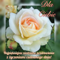 🤗Najpi�kniejsze Niedzielne Pozdrowienia